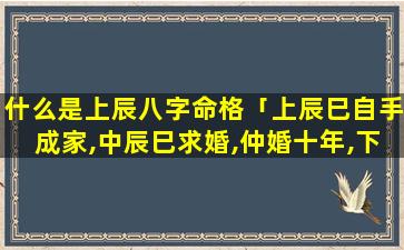 什么是上辰八字命格「上辰巳自手成家,中辰巳求婚,仲婚十年,下辰巳成德 🌲 握手 🌹 」